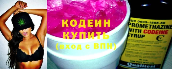 сатива Каменка