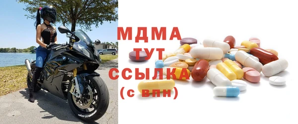 сатива Каменка