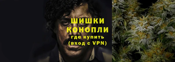 сатива Каменка