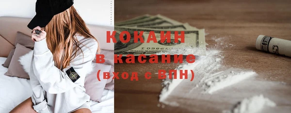 сатива Каменка