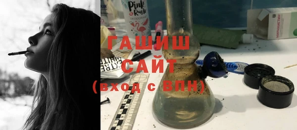 сатива Каменка