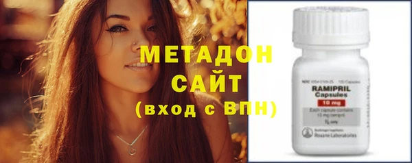 сатива Каменка