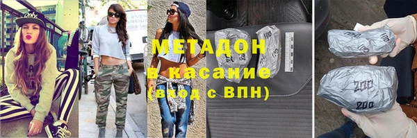 сатива Каменка