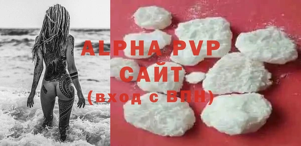 сатива Каменка